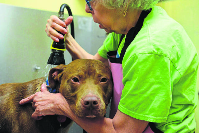 Here’s what’s happening around town:
Wednesday, May 8