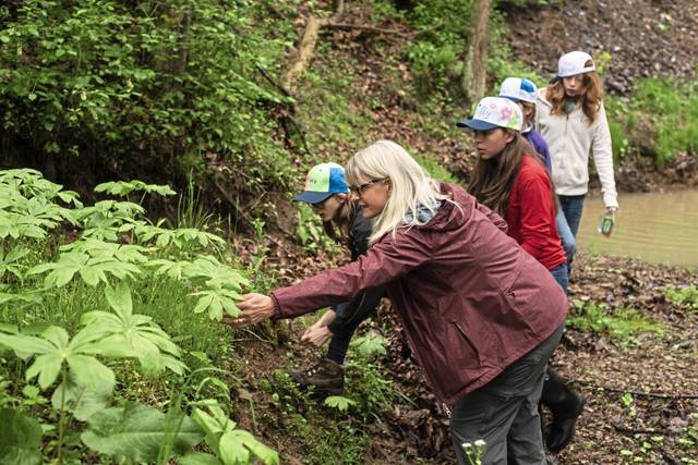 Allegheny Land Trust holds Watershed Fest