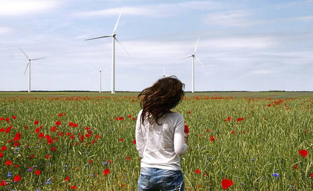 1135347_web1_web-wind