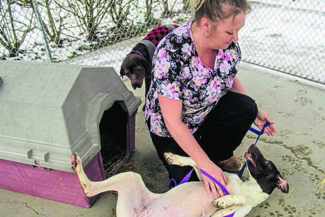 1144975_web1_gtr-lo-actionforanimals-011619