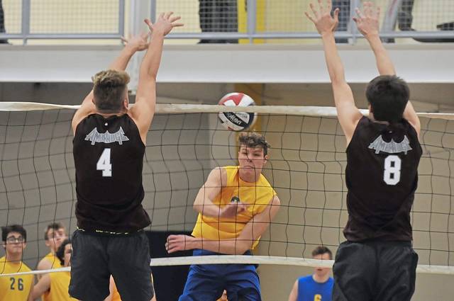 WPIAL releases boys volleyball playoff brackets