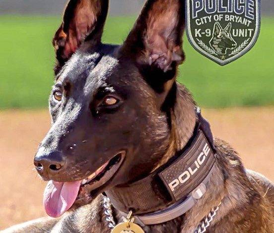 1151167_web1_ptr-k9yearbook-051419