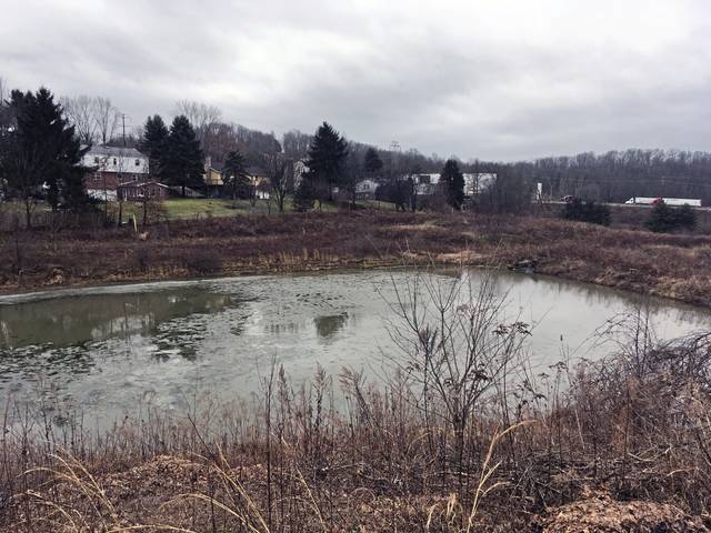 1151751_web1_gtr-murryponds2-020919