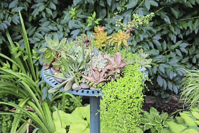 1159595_web1_gtr-liv-garden-051719