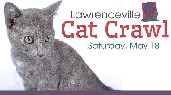 1161999_web1_PTR-FIVETHINGS-CATCRAWL