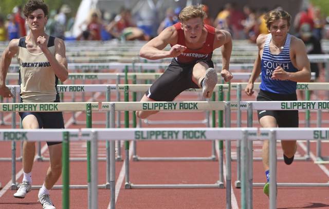 Citing ‘something to prove,’ Waynesburg’s Layton defends WPIAL hurdles title