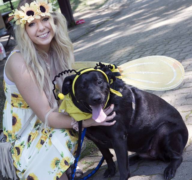 1166055_web1_gtr-OA-animals2-052719