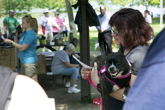 1166055_web1_gtr-OA-animals6-052719