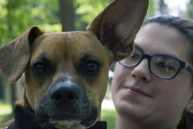 1166055_web1_gtr-OA-animals7-052719