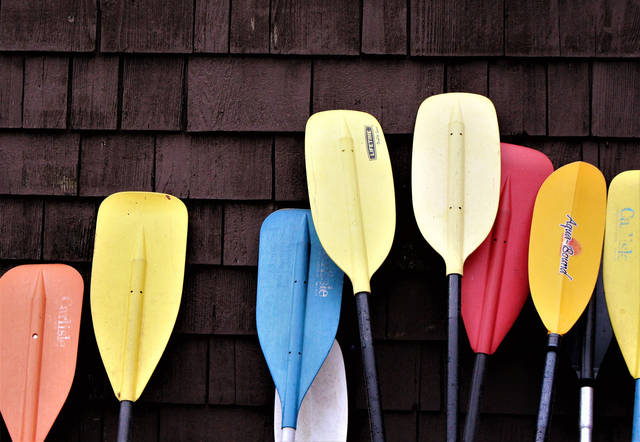1174549_web1_paddle-3414020_1920