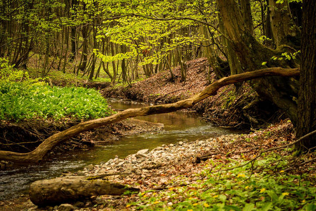 1176621_web1_web-outdoors