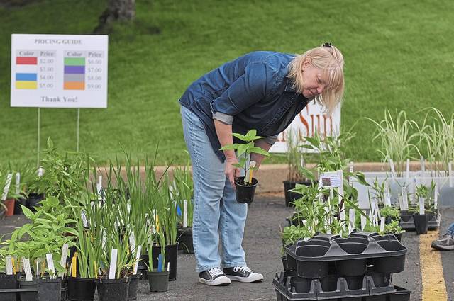 1183164_web1_nj-lo-plantsale1-053019