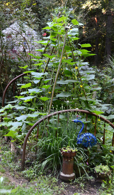 1186809_web1_Gtr-liv-planting5-052419
