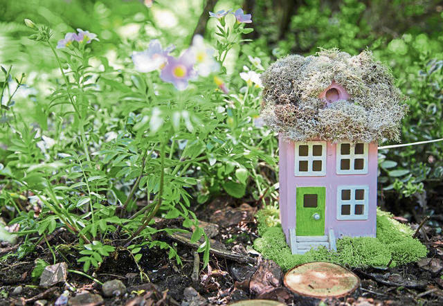 1187059_web1_gtr-liv-summerkids-fairy-052619