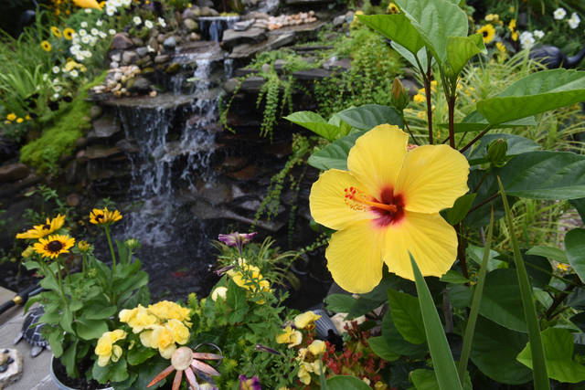 1187567_web1_gtr-liv-annuals5-053119