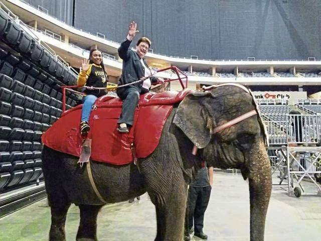 1194773_web1_Harris-elephant