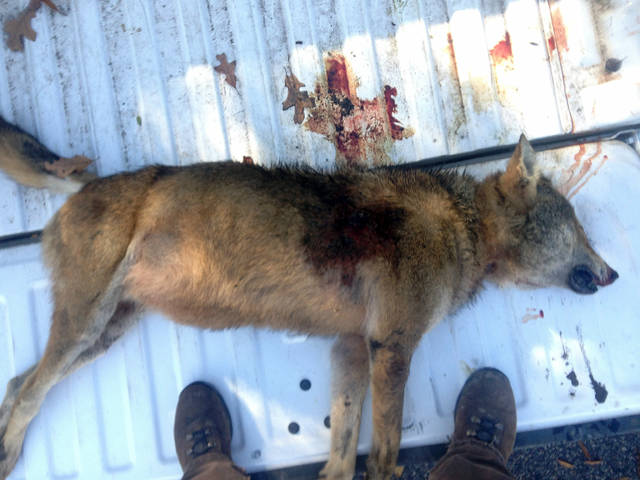 1197848_web1_1197848-bad50821400b4f008ebac0c2523a57db 1197848_web1_1197848-bad50821400b4f008ebac0c2523a57db