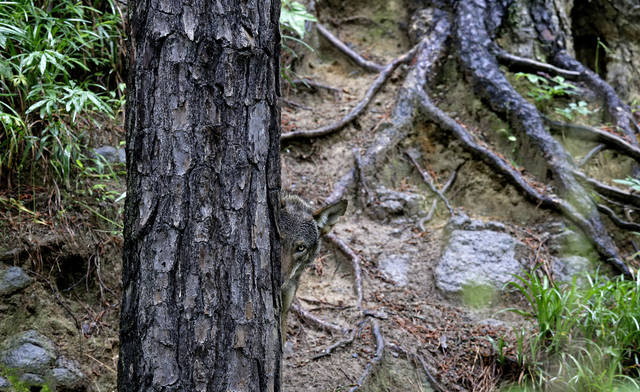 1197848_web1_1197848-c3869544dcc84dfca67b6599f0545d46 1197848_web1_1197848-c3869544dcc84dfca67b6599f0545d46