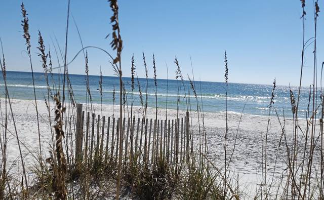 1198194_web1_Beachlist-Grayton-01-2019
