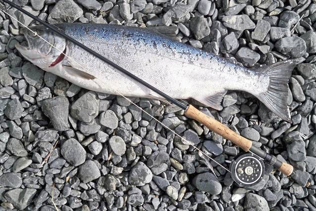 1222234_web1_WEB-fish-an-rod