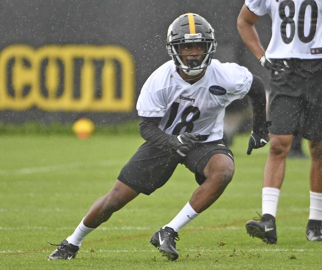 1224291_web1_gtr-steelers06-051119
