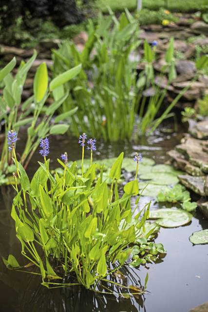 1204942_web1_gtr-tk-planner-garden-060619