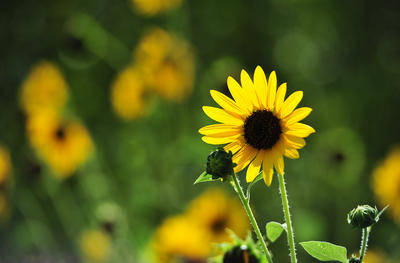 Here’s what’s happening around town:
Saturday, June 1