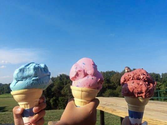 1234220_web1_gtr-fd-icecreamtrail1-060319
