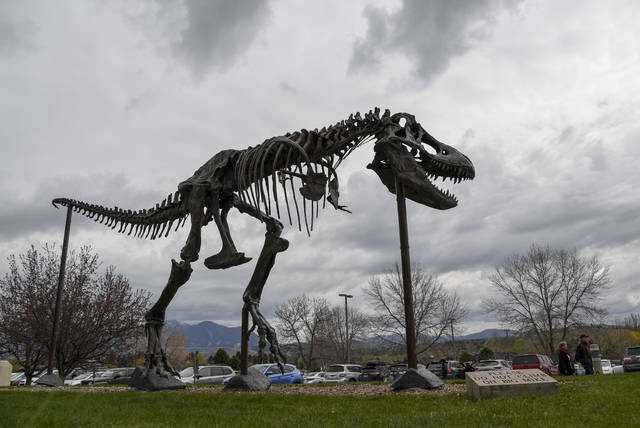 1239849_web1_trex-1ceae042-84bb-11e9-95a9-e2c830afe24f