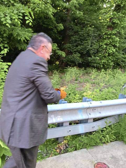 1243101_web1_Attorney-Robert-Domenick