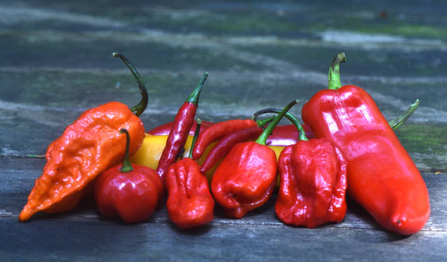 1249347_web1_Gtr-liv-hotpepper1-060719