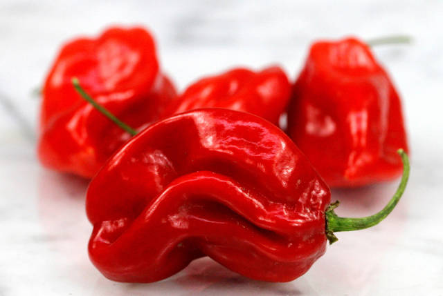 1249347_web1_Gtr-liv-hotpepper3-060719