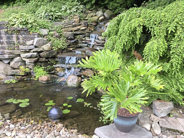 1252842_web1_gtr-liv-ggcgardens04-060719