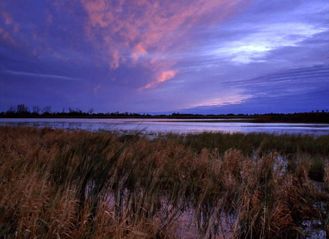 1253625_web1_ptr-wildliferefuge-060619