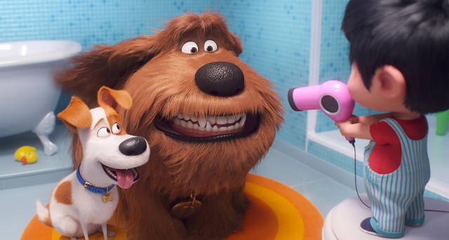 1257540_web1_film-pets-review-adv06-9e3e7688-87ca-11e9-a491-25df61c78dc4