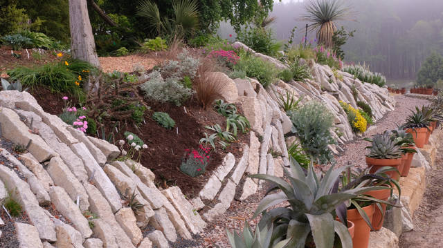 1257920_web1_gardening-65b69dec-87a5-11e9-a870-b9c411dc4312