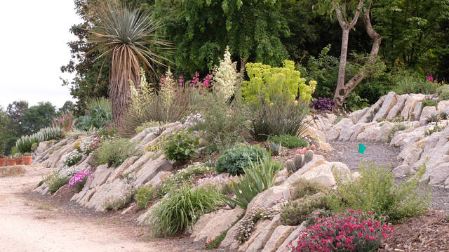 1257920_web1_gardening-6908ceac-87a5-11e9-a870-b9c411dc4312