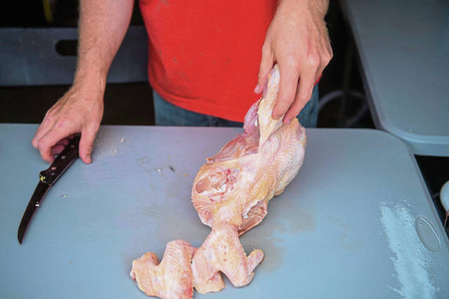1266807_web1_gtr-lo-ChickenCSA006-060819