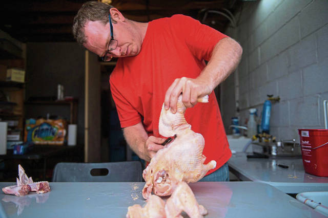 1266807_web1_gtr-lo-ChickenCSA008-060819