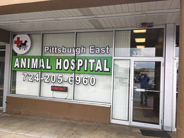 1289028_web1_Pittsburgh-East-animal