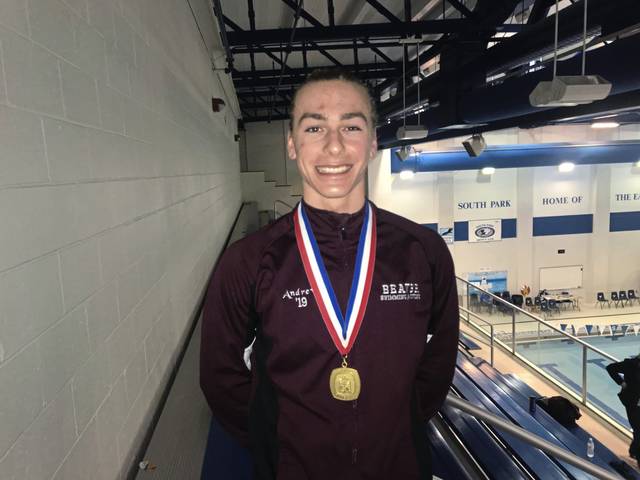 WPIAL divers selected as All-Americans