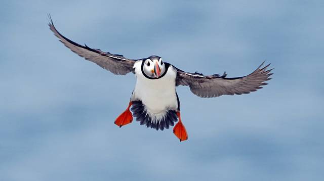 1298639_web1_AP19166574442968