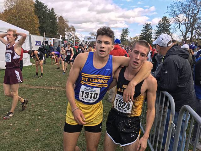 Trib HSSN rewind: A look back at the 2018 cross country season