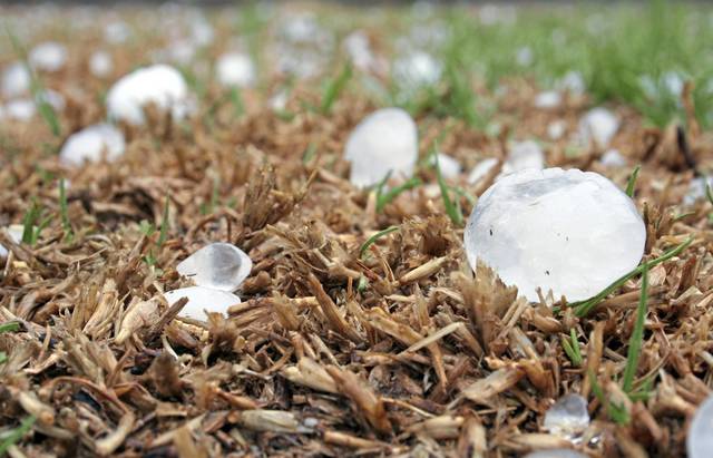 1353518_web1_WEB-hail