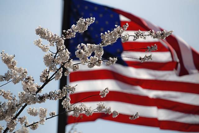1360115_web1_WEB-flag