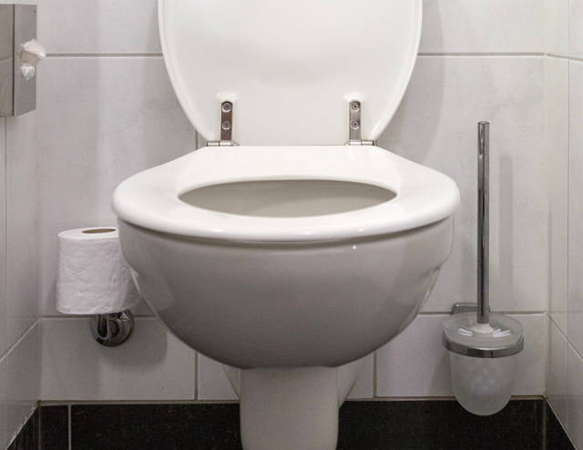 1363970_web1_ToiletSeat