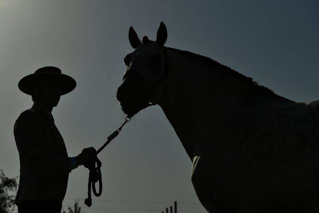 1385015_web1_gtr-bullfight08-070819