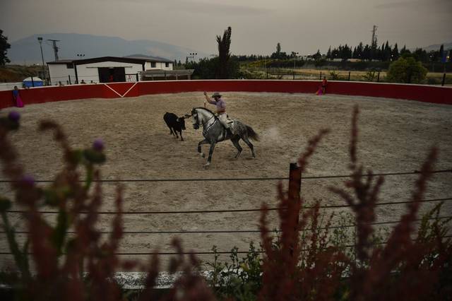 1385015_web1_gtr-bullfight09-070819