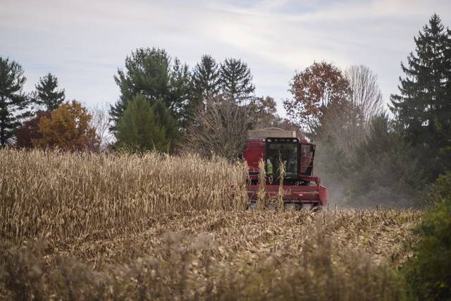 1387984_web1_gtr-lo-cornharvest001-110618