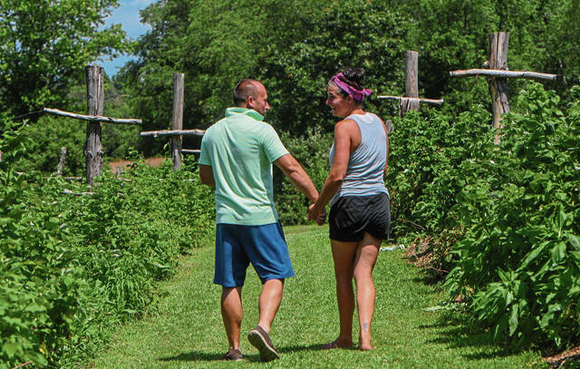 1394576_web1_VND-BerryFarm4-071119